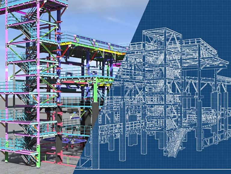 Bims growth 2020 terrain surveys