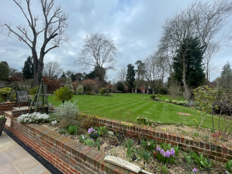 Topographicalsurveyamershambuckinghamshire1